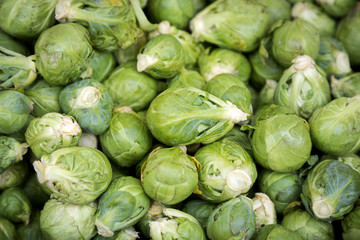 Fototapeta na wymiar Fresh Organic Brussel Sprouts at a Local Farmer's Market