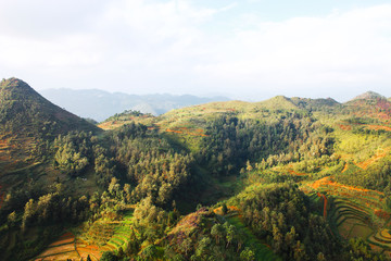 Fototapeta na wymiar Mountain pass in Ha Giang, Vietnam
