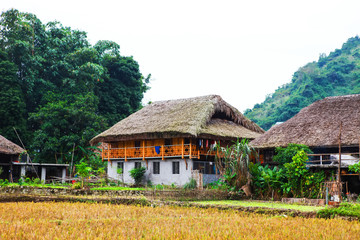 Fototapeta na wymiar Traditional stilted house this charming home stay belongs to a local Tay family