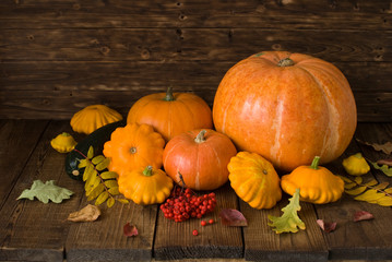 groupe of orange pumpkins and squash on dark wooden background