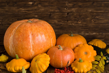 groupe of orange pumpkins and squash on dark wooden background