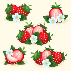 Strawberry freshness fruit set with fresh slice, leaves and flowers for logo and labels vector illustration