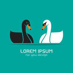Obraz premium Vector of black swan and white swan on blue background, Logo, Symbol, Animal.