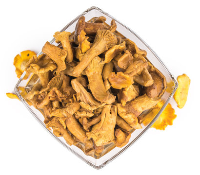Canned chanterelles isolated on white