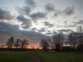 path through open flat plain country trees sky sunset dramatic
