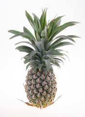 Pineapple, Pineapple tropical fruit on background