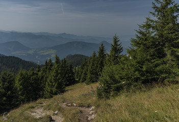 Obraz premium View in Velky Choc area in Slovakia mountains
