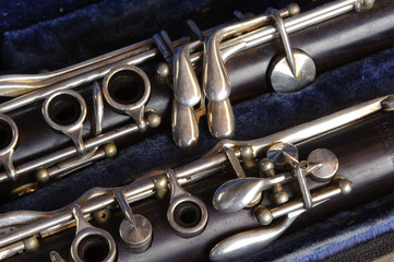Obraz premium Clarinet in a Clarinet Case