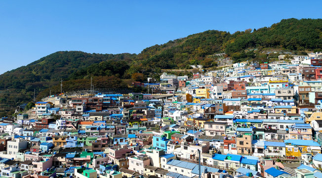 Gamcheon cultural village in Busan house on the mountain. The area is known for its brightly painted houses.