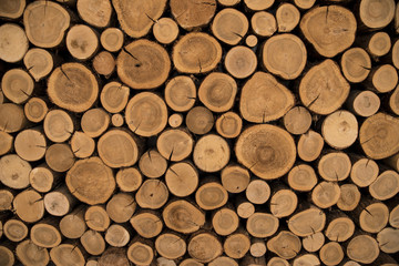 wood background