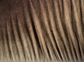 Old rustic woods with light ray