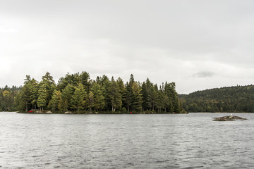 Scenic view of lake and pine tree islands with birds on them in Algonquin provincial national park Ontario Canada