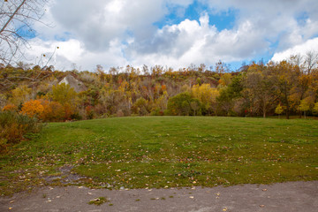Beautiful autumn fall view landscape with trees, branches and green, red, yellow leaves on the...