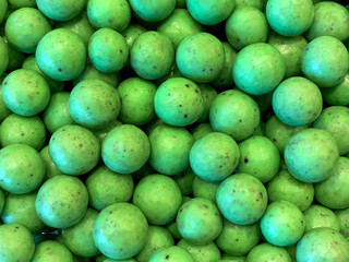 Green mint covered chocolate balls. Close up on candy