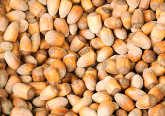 Stack of hazelnuts. Hazelnut background. Healthy eating vegetarian nut food hazelnut.