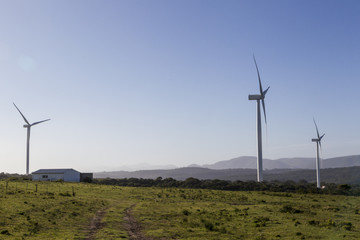 Fototapeta na wymiar Wind turbines at sunset