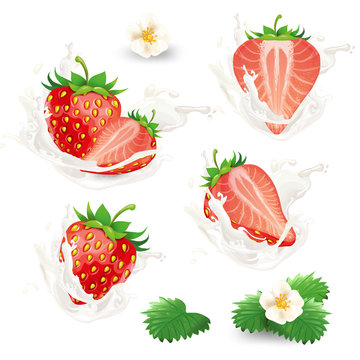 Set of vector whole and half strawberry with flowers, leaves and cream, milk or yogurt splash in a realistic style, isolated on a white background. Design element for advertising, package.