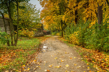 Obraz premium Path near the monastery fence in autumn