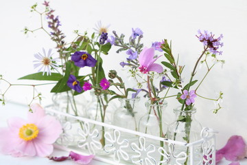 Blüten in Pastellfarben