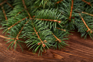 Christmas fir tree on a wooden board. Green spruce branches as a textured background. Green spruce, white spruce, blue spruce.