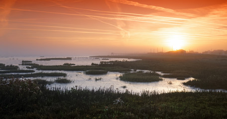 reserve naturelle de l'estuaire de la Charente