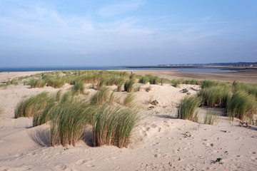 Plage du galon d'or en Charente maritimr