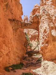 Bryce Canyon National Park
