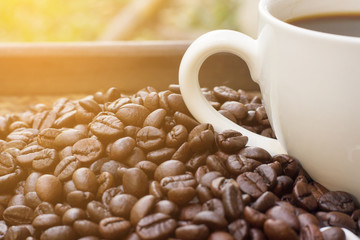 Coffee beans with white coffee mug blur background and light fair , A cup of hot coffee is placed beside the coffee beans with light fair