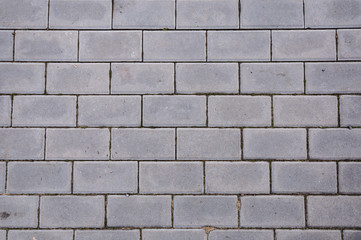 Fototapeta premium The texture of paving slabs