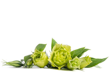 bouquet  of  green roses lying on white background
