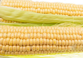 corn cob