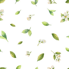 Watercolor vector seamless pattern with Jasmine flowers and mint leaves isolated on a white background.