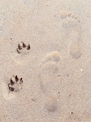 Fußspuren im Sand 