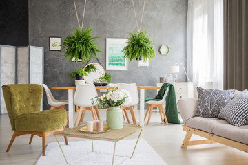 Living room interior with ferns