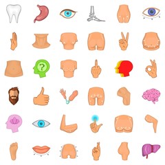 Skeleton icons set, cartoon style