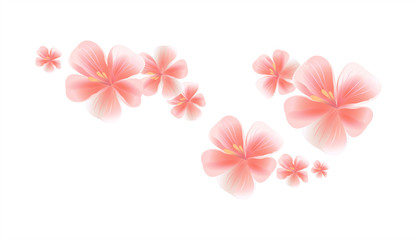 Pink flying flowers isolated on White background. Sakura flowers. Cherry blossom. Vector