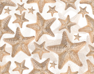 beige starfish seamless background