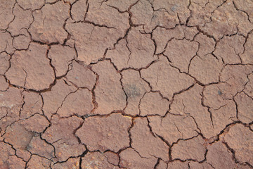 Dry cracked earth textured background.