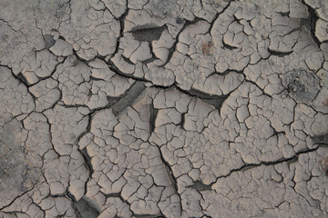 Dry cracked earth textured background.