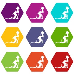 Sitting cat icon set color hexahedron