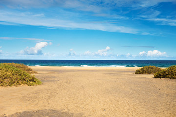 Beauty of the beach in Fuerteventura