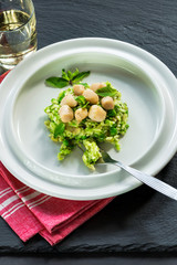 Scallops on minted pea risotto