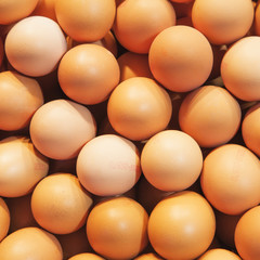 Eggs abstract minimalistic background