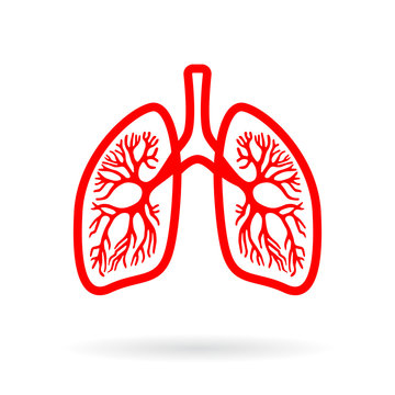 Human Lungs Outline Icon