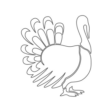 Line Turkey silhouette icon 
