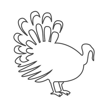 Line Turkey silhouette icon 