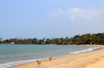 Patnem beach, South Goa, India