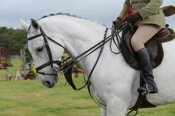 A Horse and Rider at a Show Jumping Event.