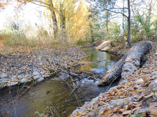 Resurgir del río tras la sequía
