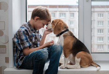 European boy and Beagle dog on the windowsill
